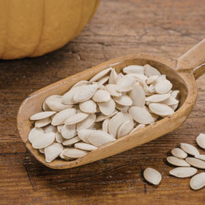 Pumpkin Seed
